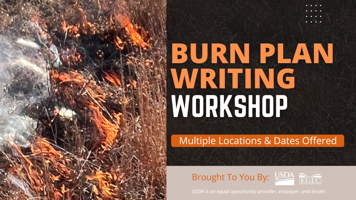 2025 burn plan writing workshop