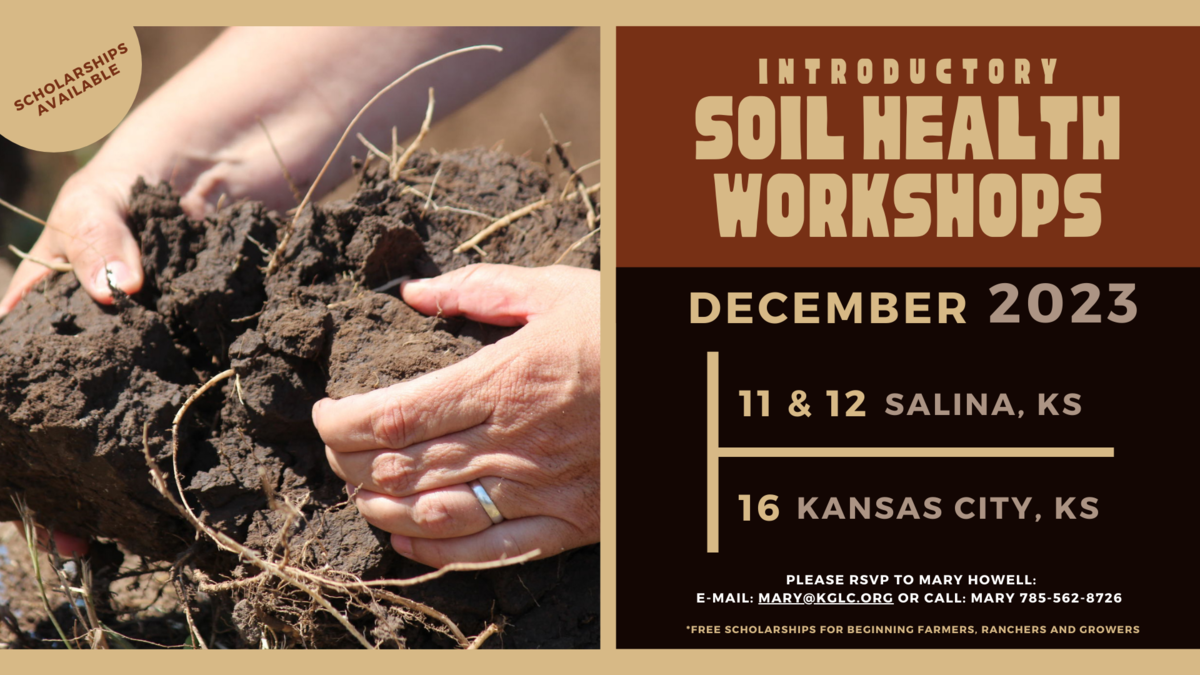 Soil Workshop